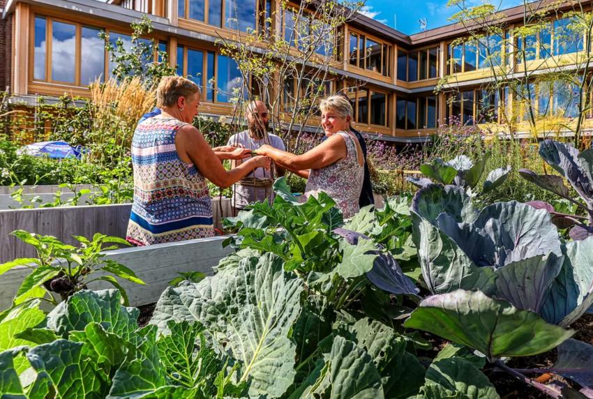 Witherford Watson Mann/Grant Associates