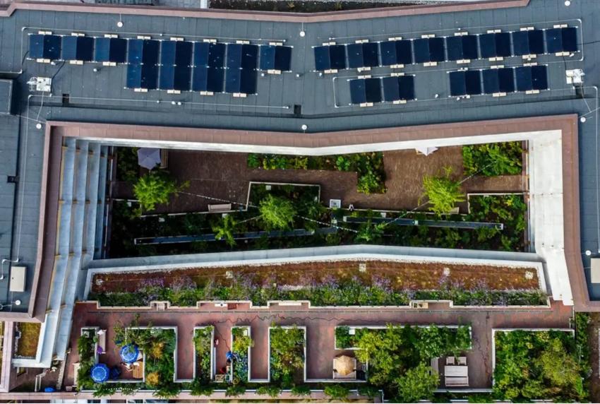 Witherford Watson Mann/Grant Associates