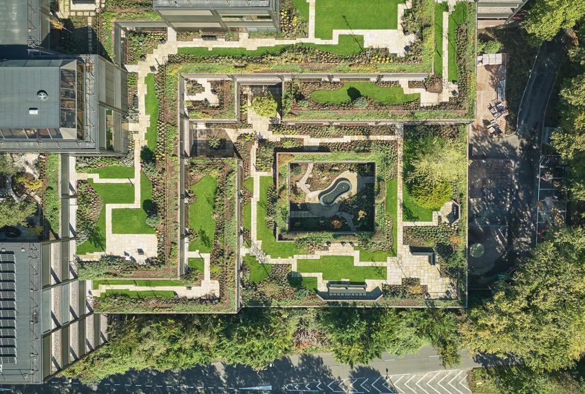 Plant Basingstoke by FCBStudios/Grant Associates/Studio Knight Stokoe/Twelve Architects 