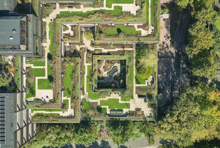 Plant by FCBStudios/Grant Associates/Twelve Architects/Studio Knight Stokoe. Pic: Andy Stagg