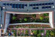 Witherford Watson Mann/Grant Associates