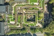 Plant Basingstoke by FCBStudios/Grant Associates/Studio Knight Stokoe/Twelve Architects 