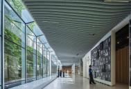 Ossip van Duivenbode